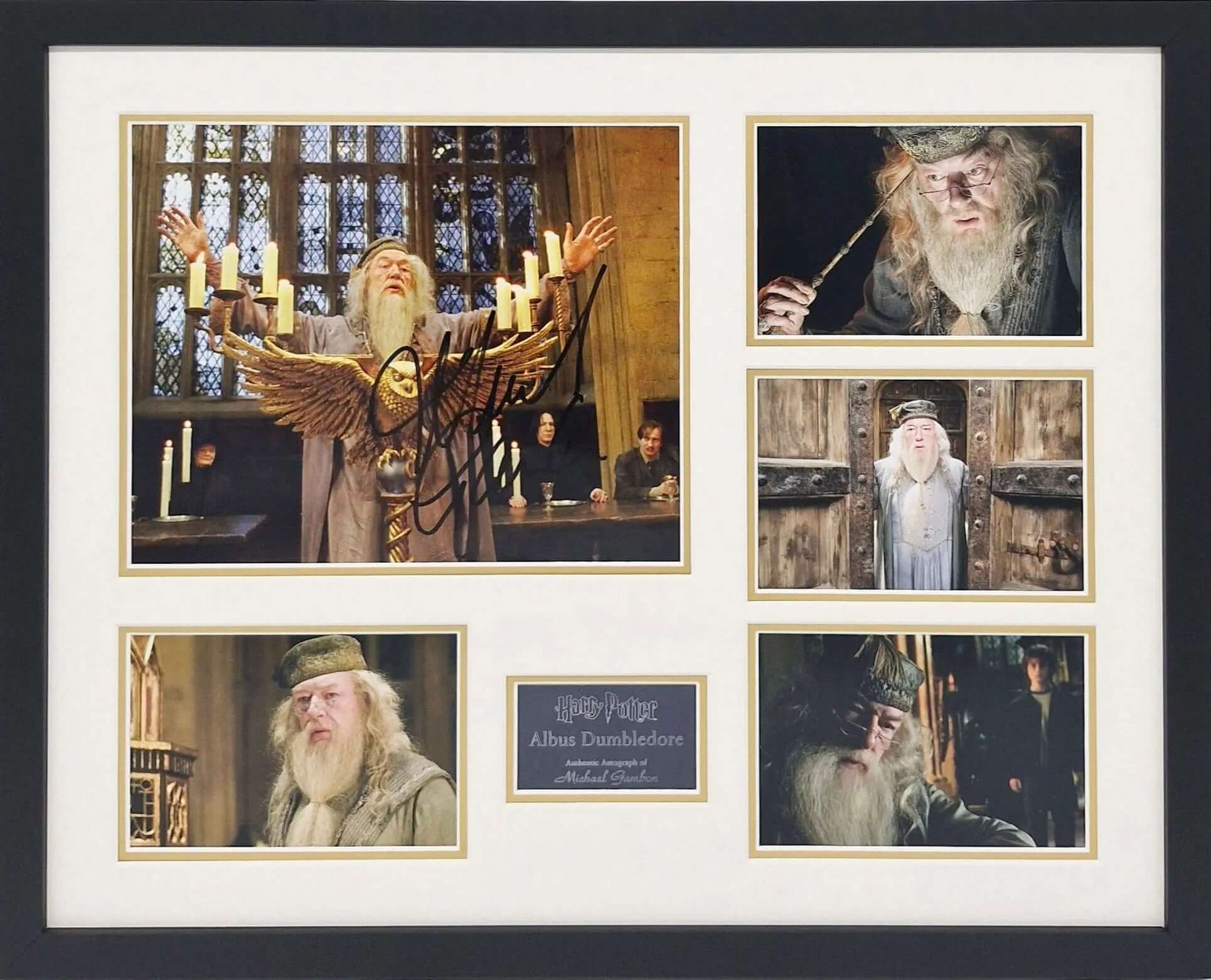 Michael Gambon Signed Dumbledore Harry Potter Photo Framed – Darling ...